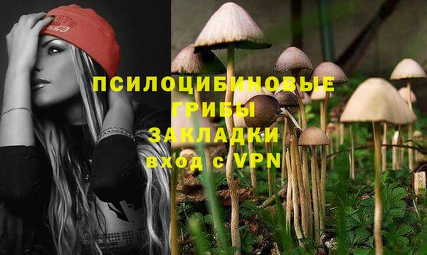 ешки Инта