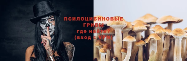 ешки Инта