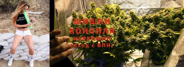 дмт Иннополис
