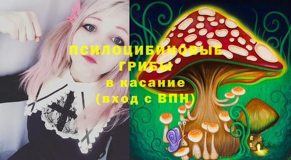а пвп мука Инсар