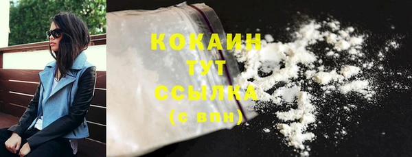 ешки Инта
