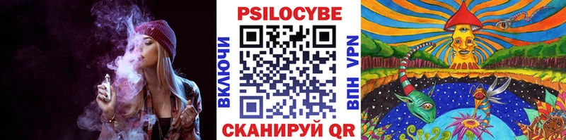 Галлюциногенные грибы мухоморы  как найти наркотики  Кирсанов 