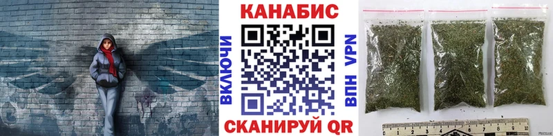 Каннабис OG Kush  Кирсанов 